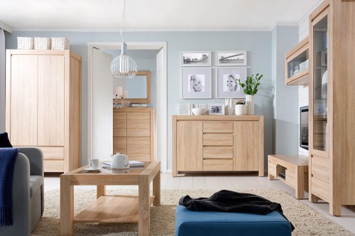 Система AGUSTYN BRW