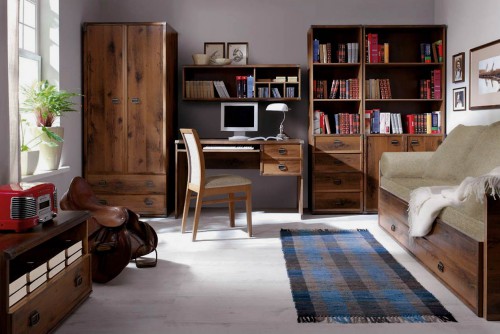 Система Індіана БРВ дуб шутер