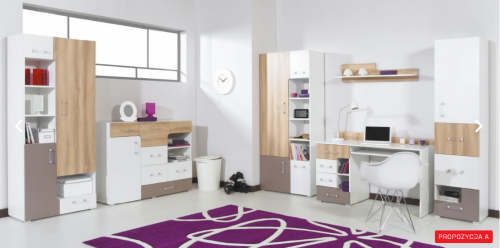 Детская Blog А Meblar цветов вяз / белый люкс / капучино