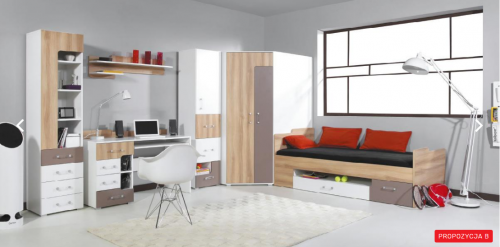 Детская Blog В Meblar цветов вяз / белый люкс / капучино