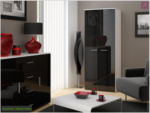 Шафа SZAFA uniwersalna Сama Білий / Чорний глянець