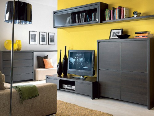 Гостиная КАСПИАН БРВ венге