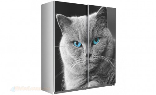 Шкаф YANS822G2-120 Yanis FORTE білий