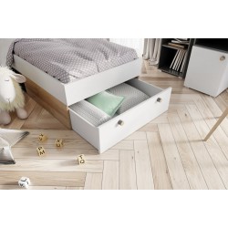 Фото5.Кровать с ящиком и книжным шкафом RIVA 50 SZYNAKA дуб ривьера / черный / белый