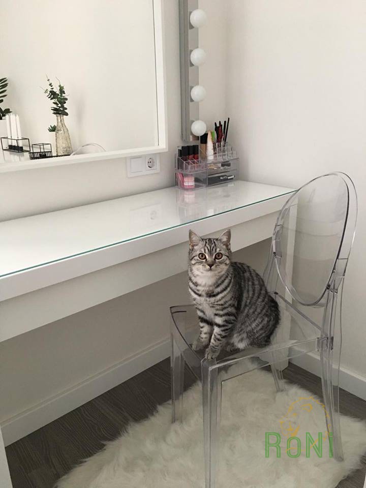 Фото відгук Столик туалетний Ikea MALM білий (102.036.10) Фото відгук